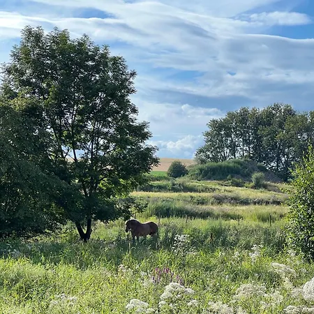 Domcek Pod Vezami S Virivkou A Krbom, Priamo Pri Skibuse Do Jasnej Liptovský Ján