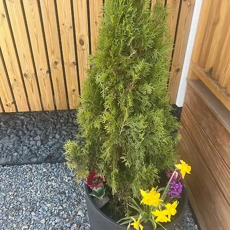 Domcek Pod Vezami S Virivkou A Grilom, Pri Termalnom Kupalisku Apartmán